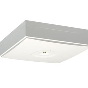 Ledelys TW ZoneSpot, 3W LED, T-komm, m/kond., 230V