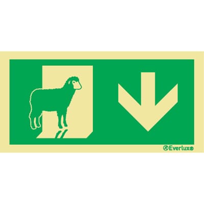 Evakuering av husdyr "Sau" - Pil Ned, 15x30 cm.
