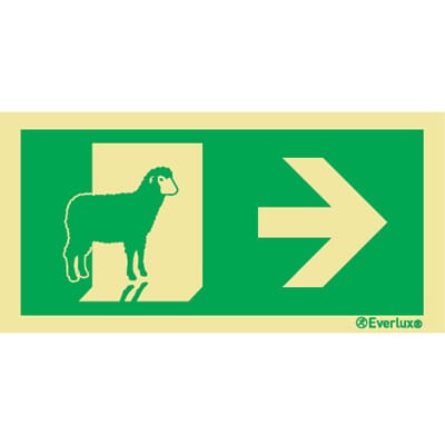 Evakuering av husdyr "Sau" - Pil Høyre, 15x30 cm.