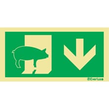 Evakuering av husdyr