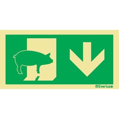 Evakuering av husdyr "Gris" - Pil Ned, 15x30 cm.